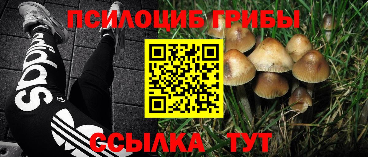 Галлюциногенные грибы Magic Shrooms Хасавюрт